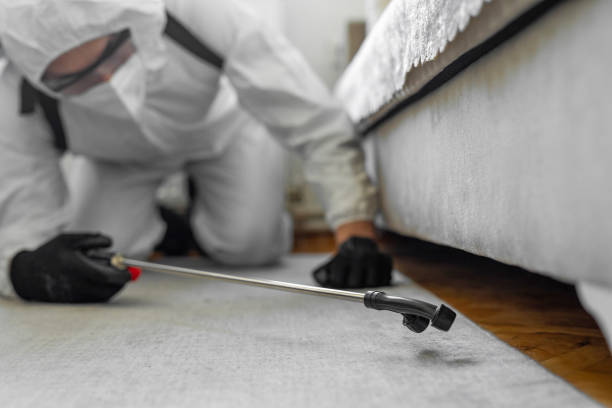 Professional Pest Control technician working in New York, NY