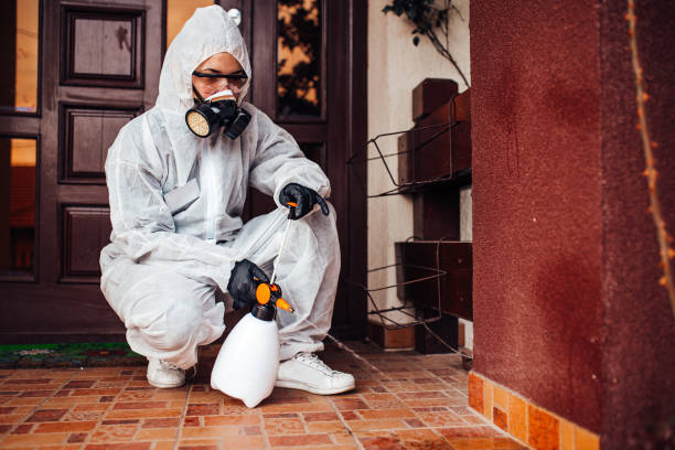 Reliable Pest Control contractor in New York, NY by Show Me Pest Control
